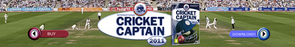 International Cricket Captain 2010